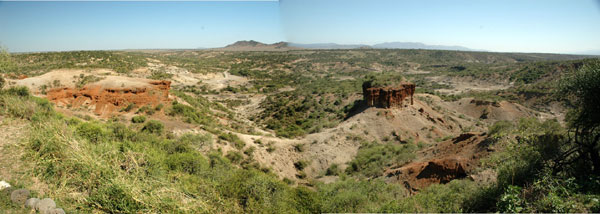 Olduvai Gorge - Contact your instructor if you are unable to see or interpret this graphic.
