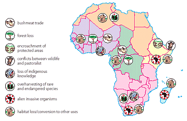 Threats to Africa's