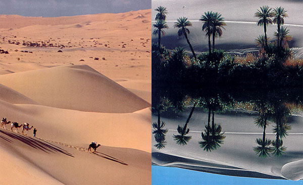 Desert dunes with camels and Oasis.