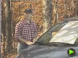 Tussey Sink vidcap 