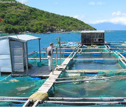 Aquaculture and the future of marine fisheries Earth 540 