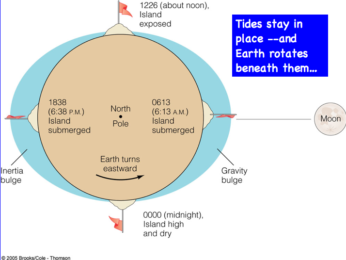 unit 3 assignment modelling the tides