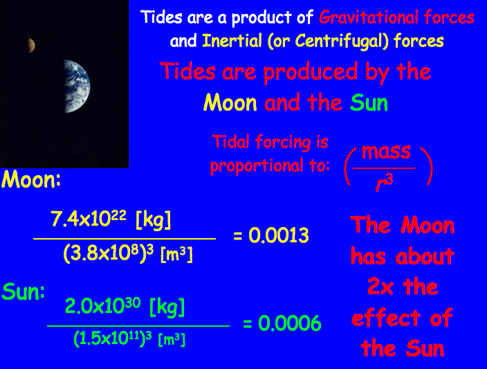 Contact the instructor if you have difficulty viewing this image
