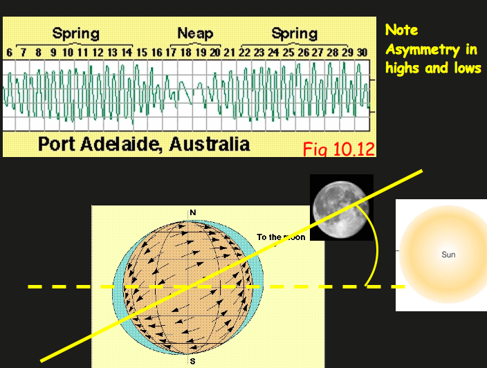 Contact the instructor if you have difficulty viewing this image