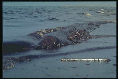 Picture of an oil leak reaching the shore.