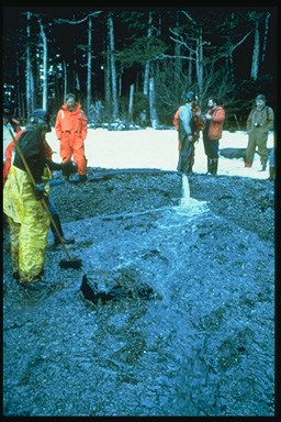 Picture of several workers cleaning an oil spill.