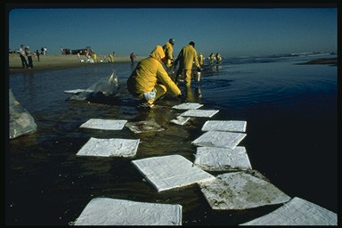 Picture of workers putting clothes on the oil covered water to absorb the oil.