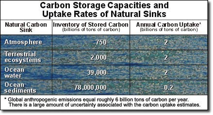 Chart of the carbon storage capacities and uptake rates of natural sinks.